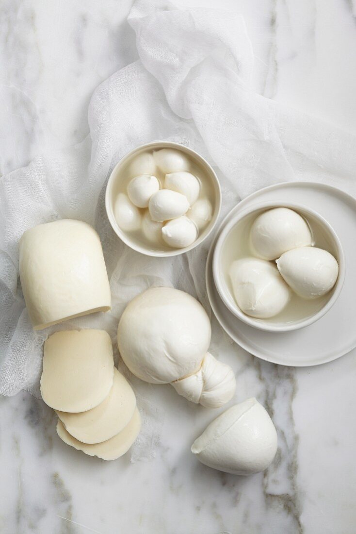 Various types of mozzarella: Bocconcini, cherry Bocconcini, aged mozzarella, burrata, buffalo mozzarella