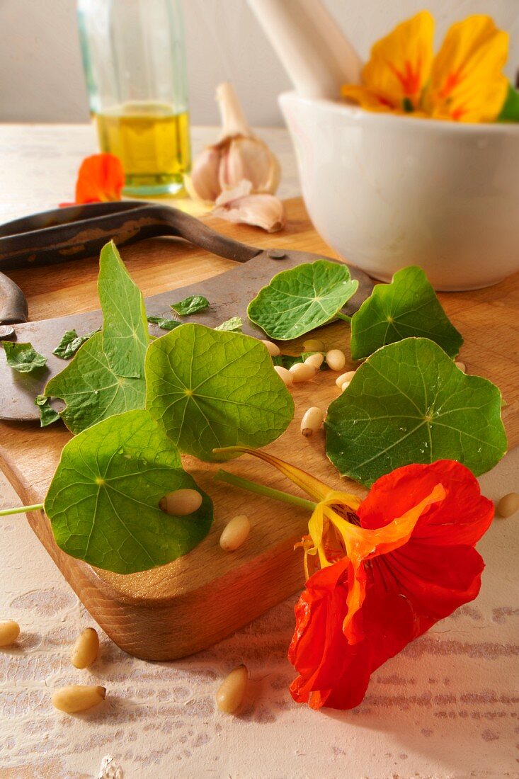 Ingredients for nasturtium pesto