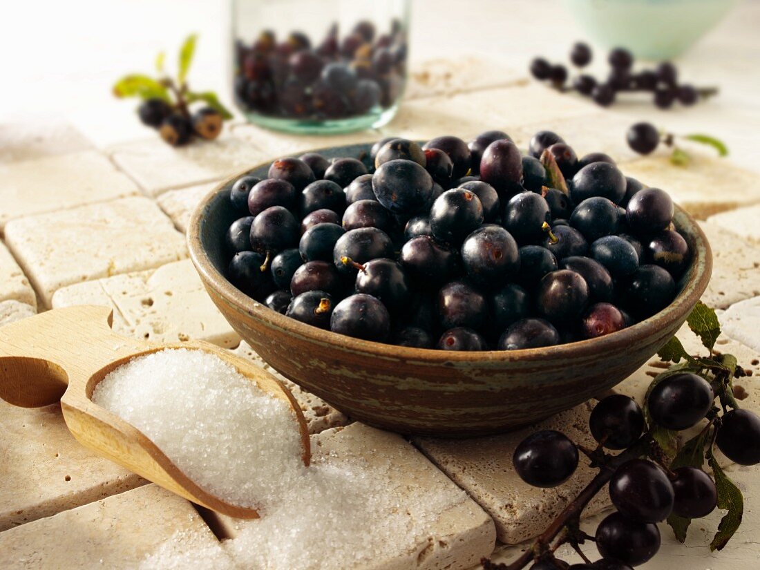 A bowl of fresh sloes