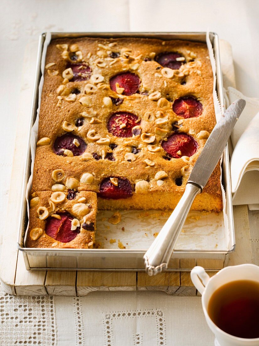 Hazel nut cake with sour cherries and plums