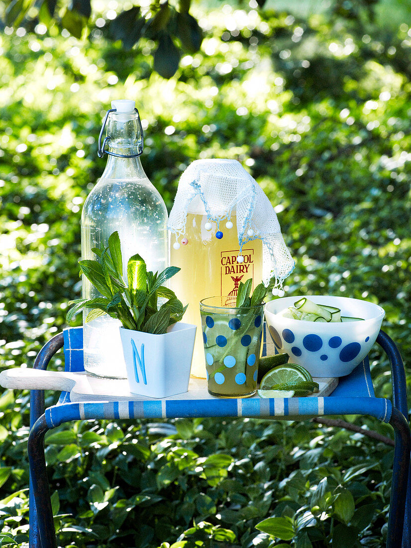 Ginger drinks with mint, limes and gherkins for a picnic