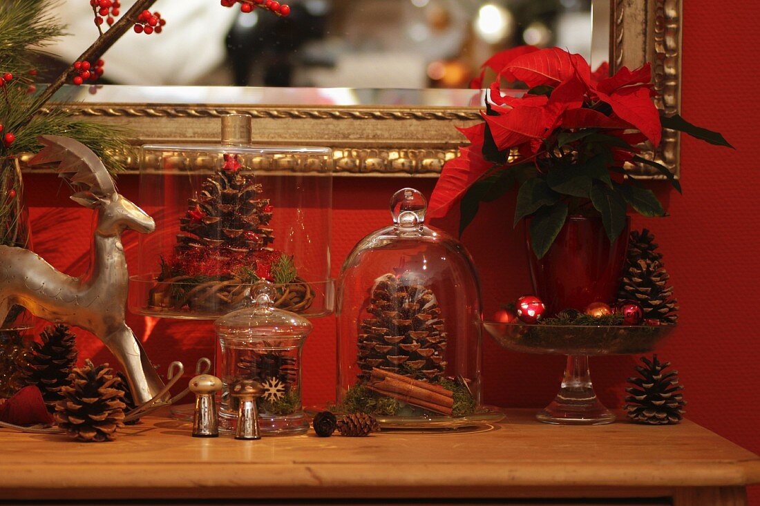 Kiefernzapfen unter Glashauben, Mini-Schaukelpferd aus Blech und Weihnachtsstern als Zimmerdeko