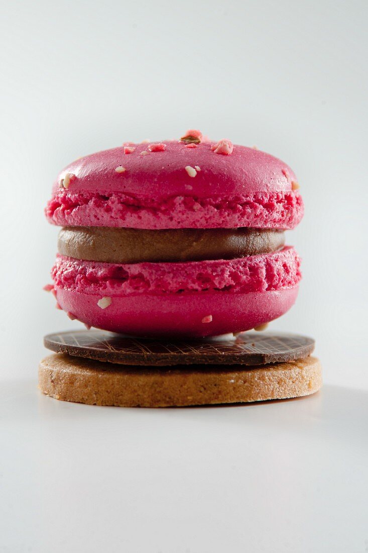 Raspberry macaroons on chocolate and sable (France)