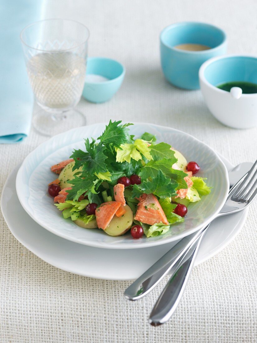 Green Salad with Salmon