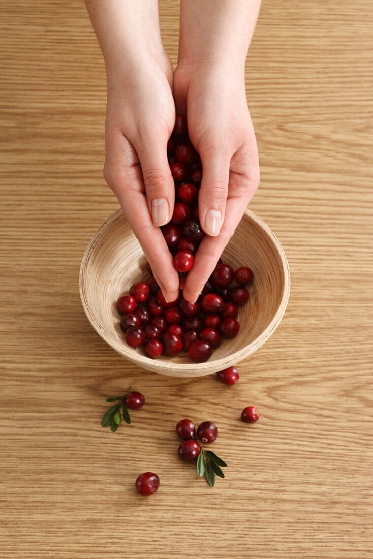 Hände halten Cranberries über einer Schale