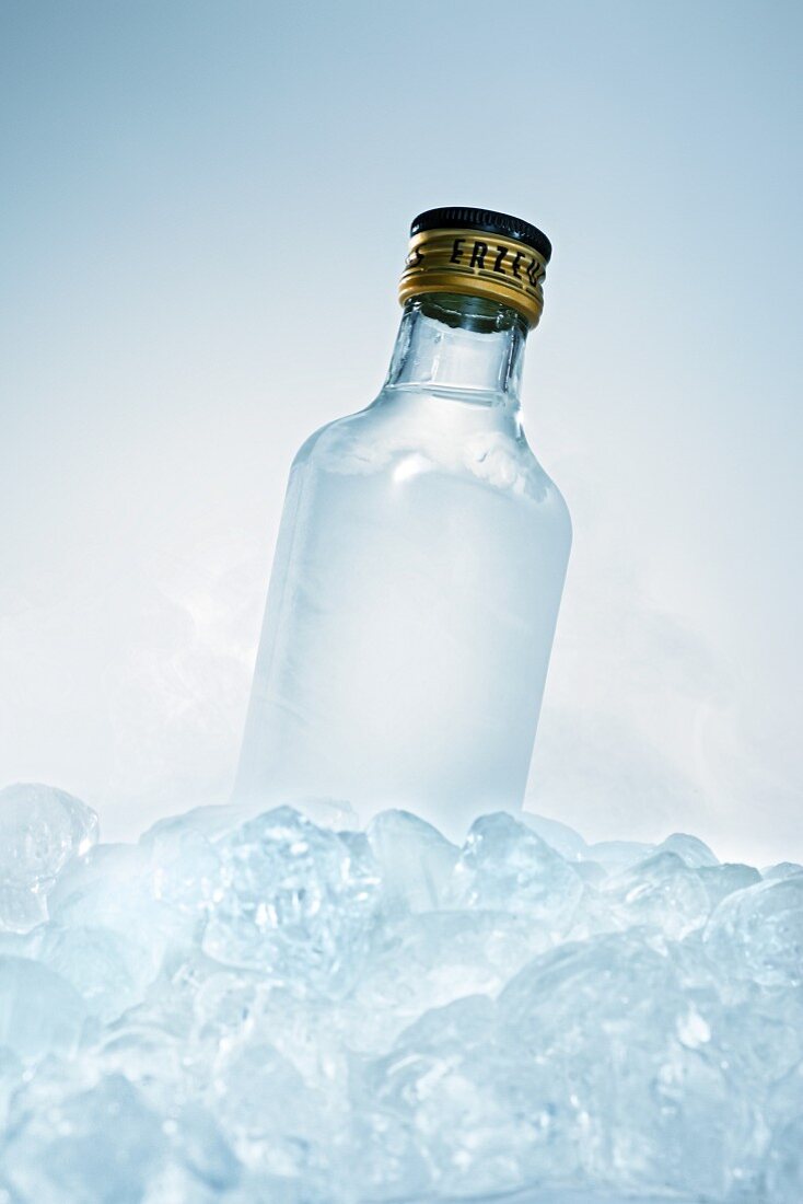 Schnapsflasche im Eis