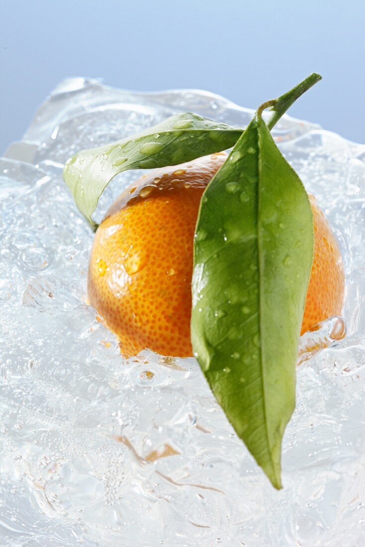 Mandarine mit Blättern im Eisblock