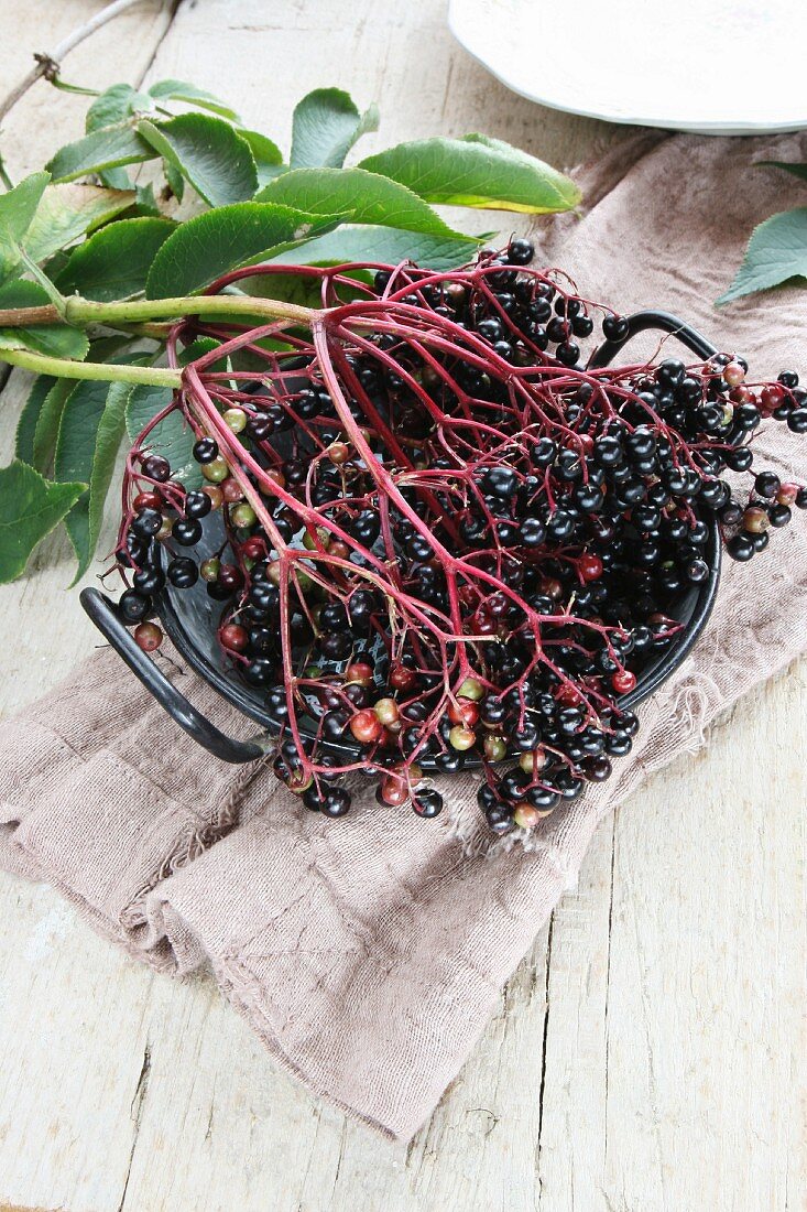 Elderberries in an enamel pot