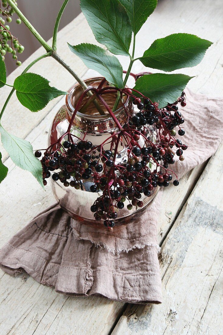A twig of elderberries in a vase