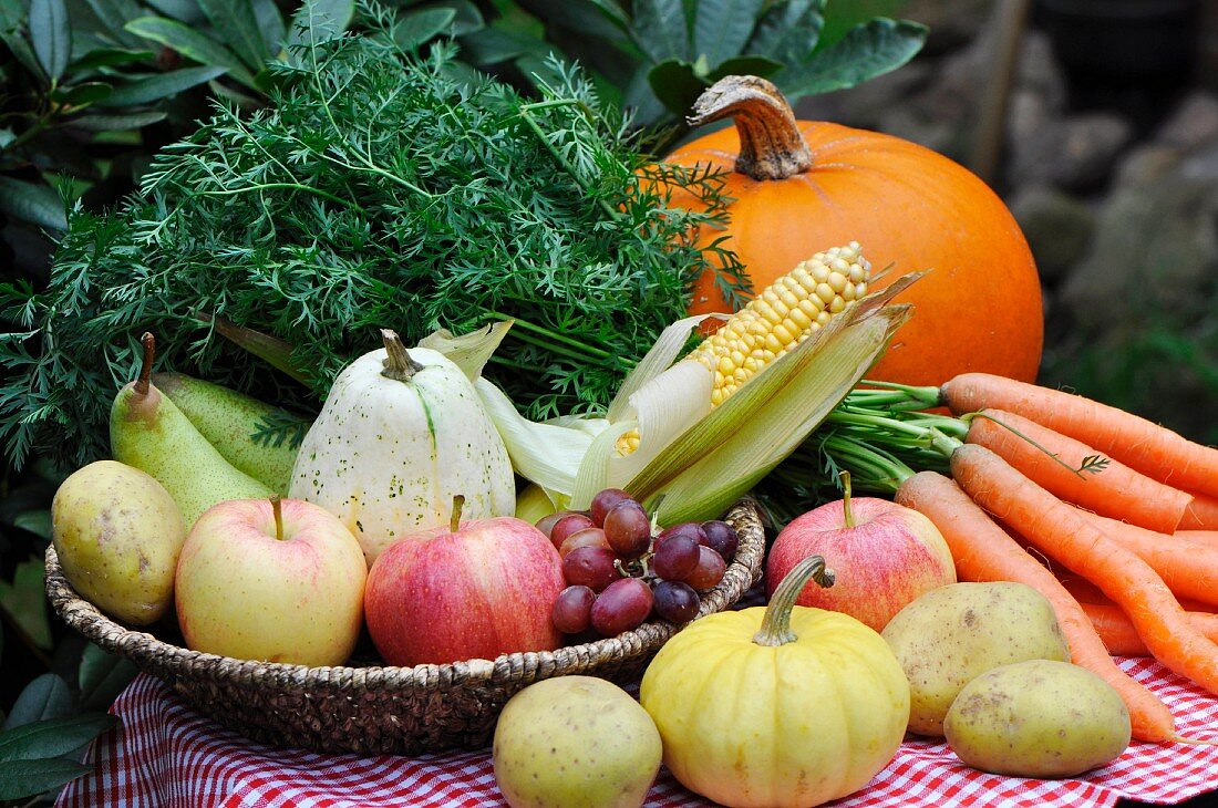 Harvest festival table laid with fruit, vegetables and corn cobs