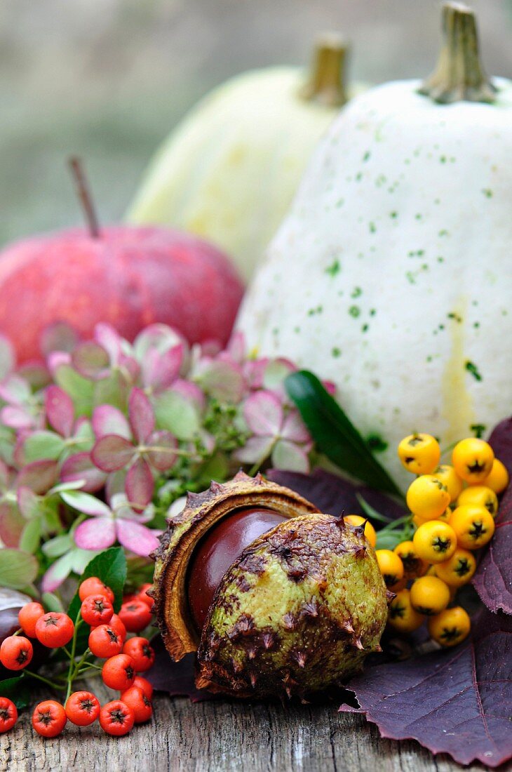 Herbstdeko mit Kürbis, Apfel, Kastanien, Beeren, Hortensien