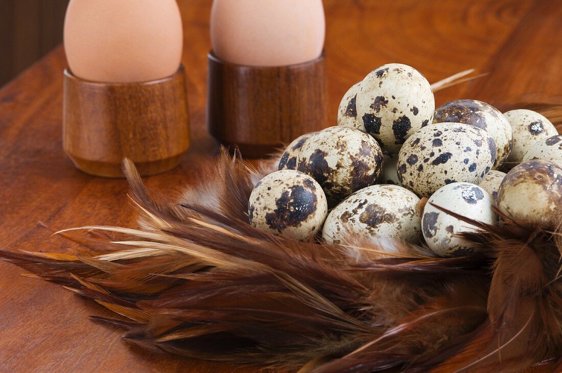 Quails' eggs and hens' eggs