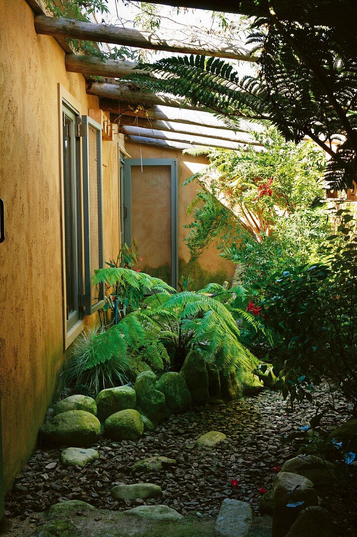 Ferns in rockery against house facade with windows opened outwards