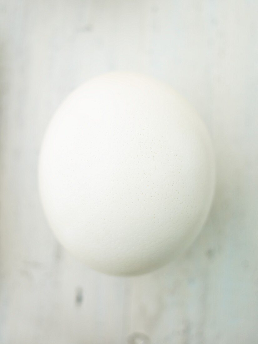 An ostrich egg