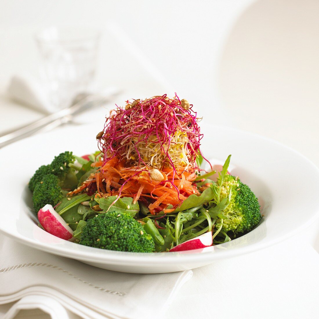 Vegetable salad with broccoli, carrots and bean sprouts
