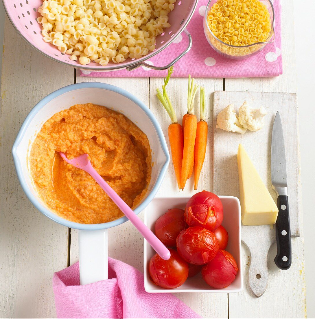 Shell pasta, vegetable sauce and ingredients