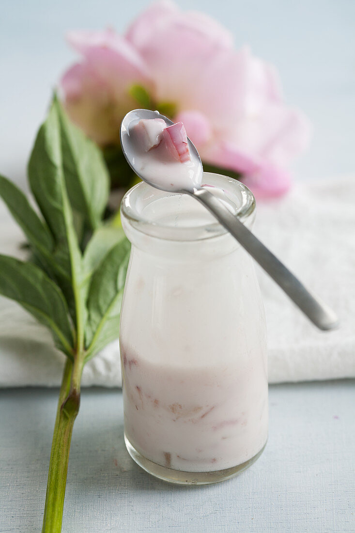 Home made rhubarb yogurt