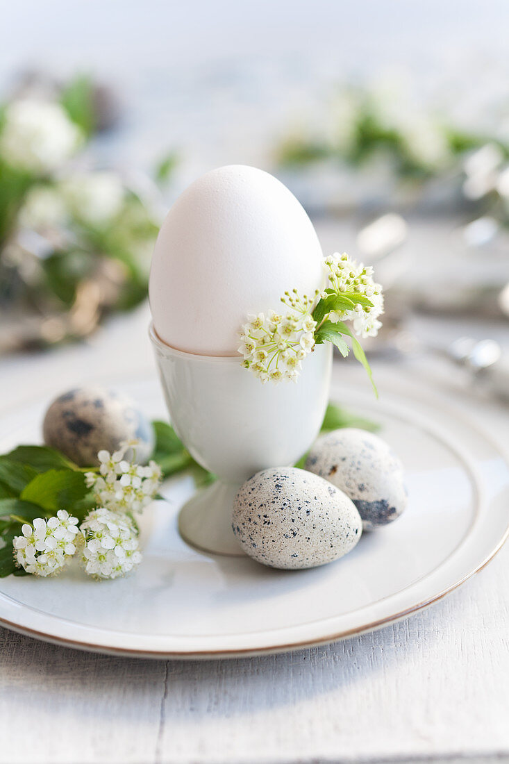 Frühstücksei mit Wachteleiern und Spireen