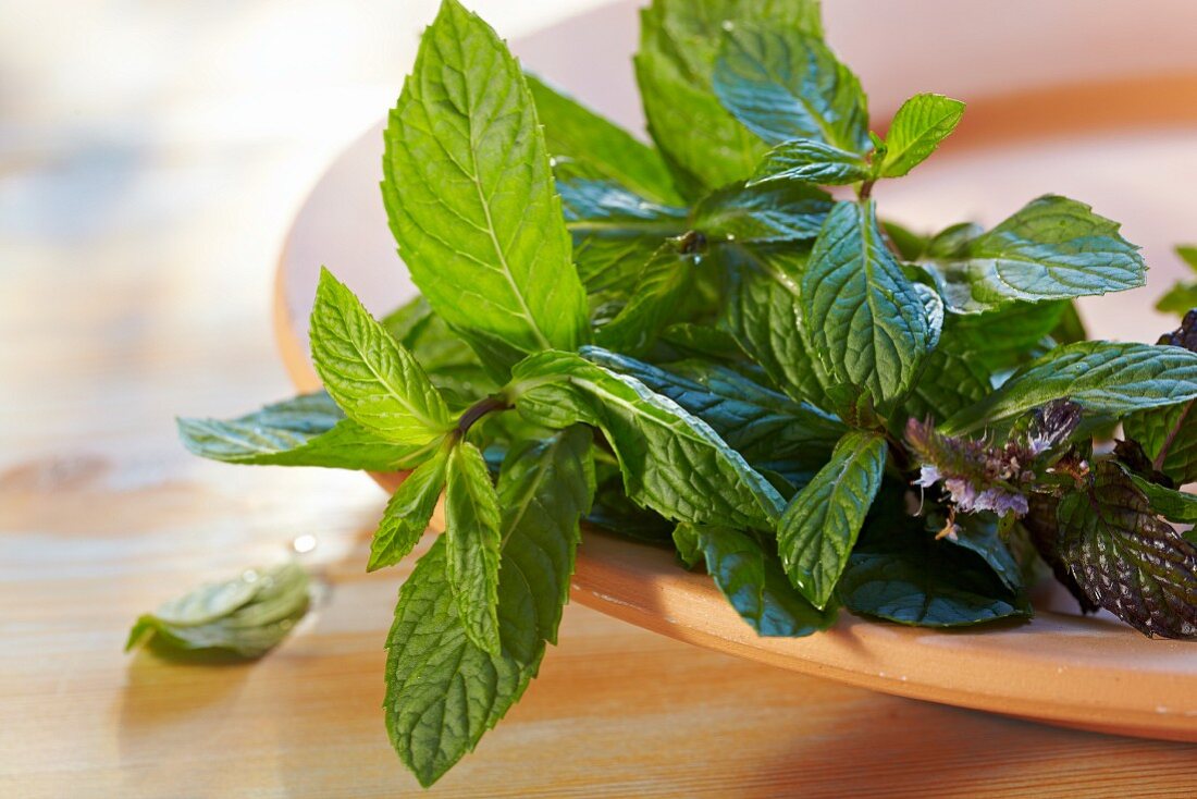 A plate of fresh peppermint