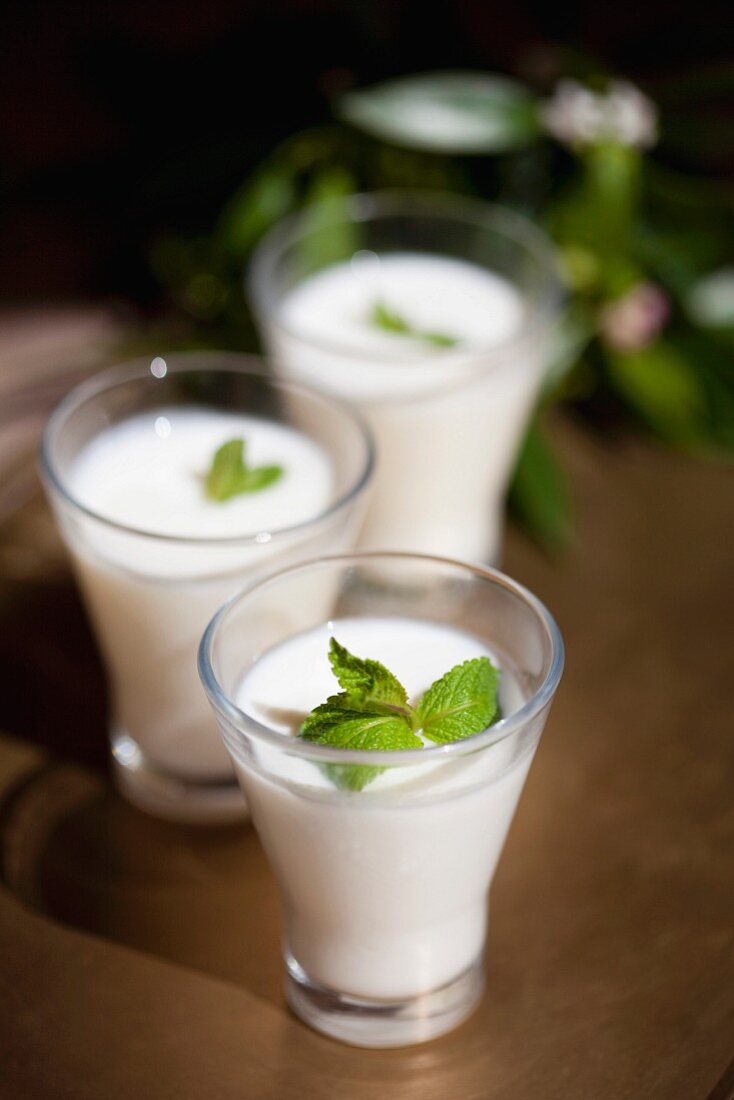 Yogurt with mint from Morocco