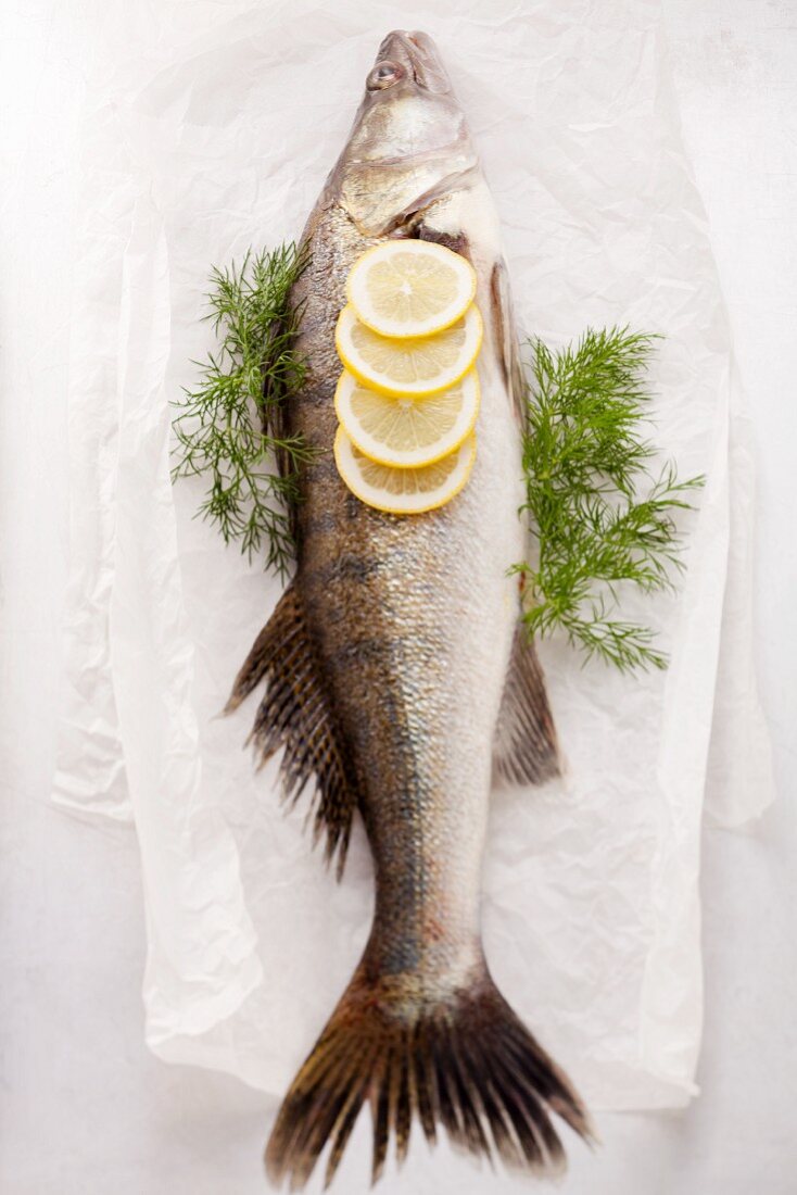 Fish with lemons and dill on parchment paper
