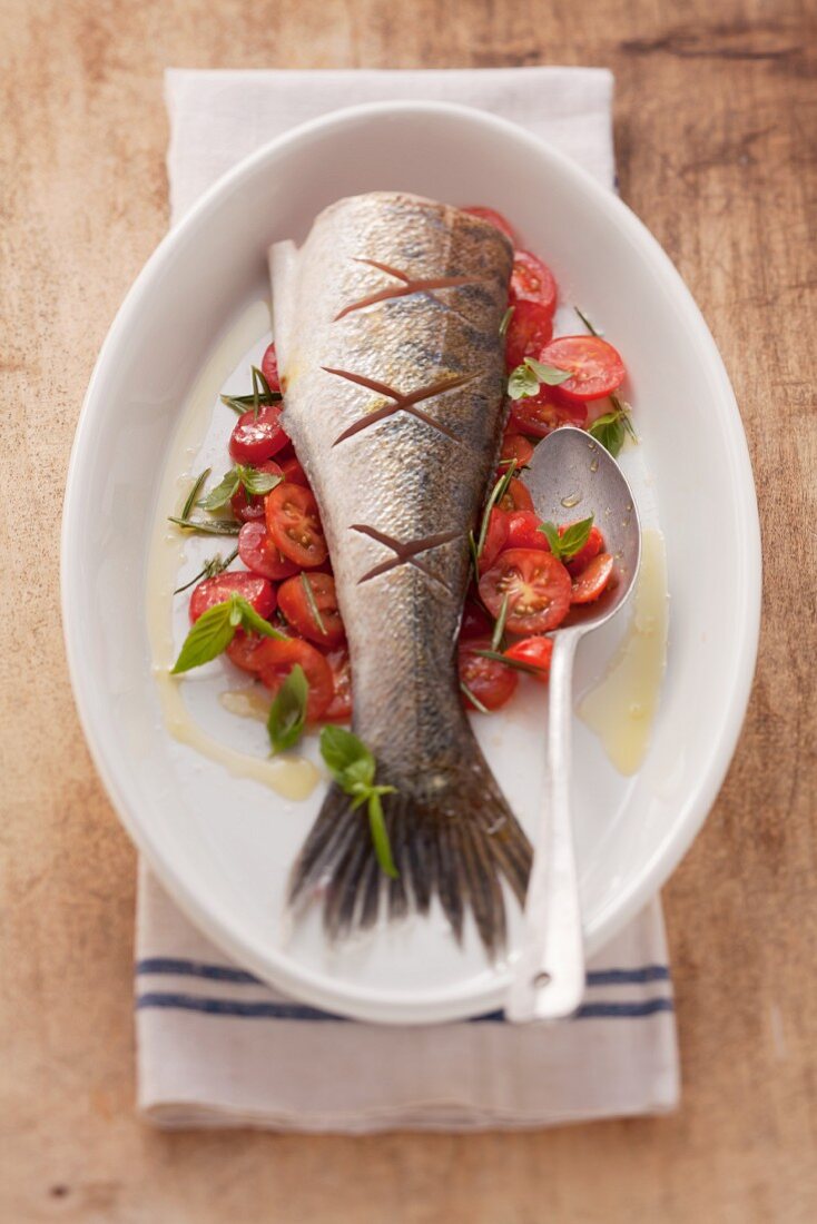 Fried zander on a bed of tomatoes