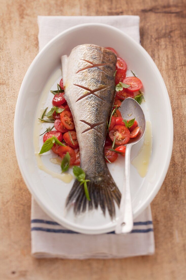 Gebratener Zander auf Tomaten