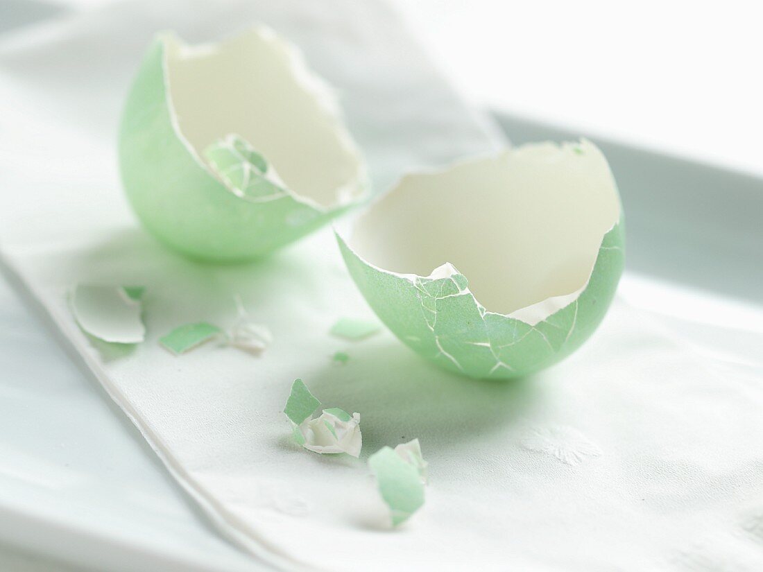 Dyed Green Egg Shell Cracked Open