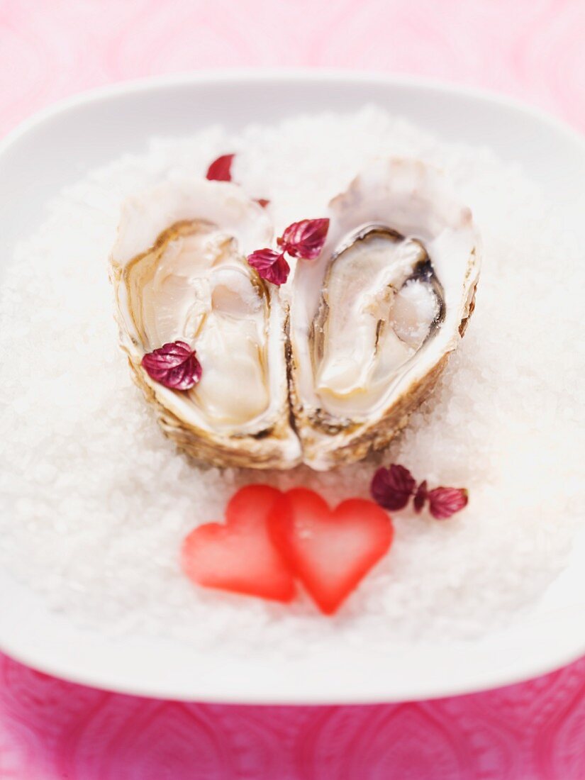 Fresh oysters on a plate of sea salt