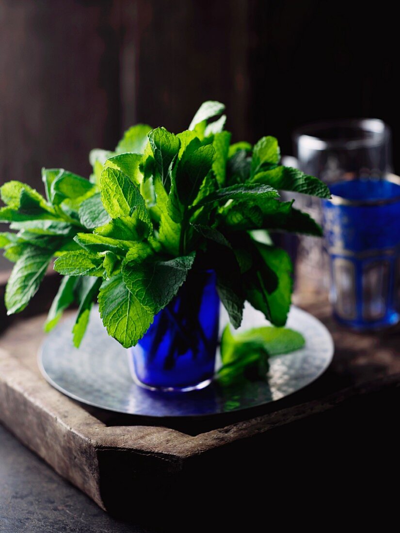 Fresh mint in a glass