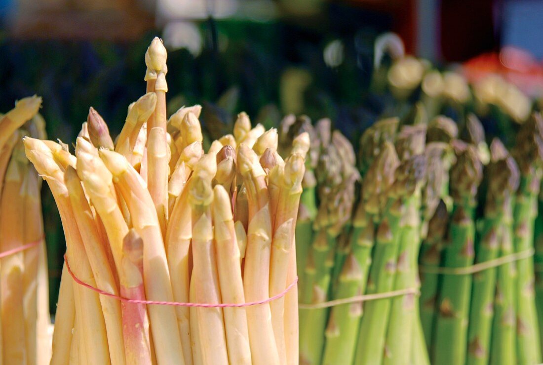 Green and white asparagus