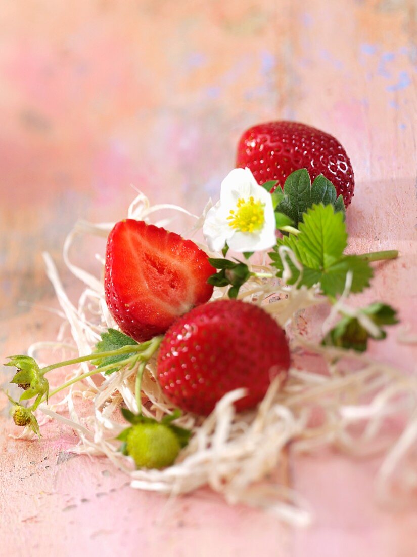 Erdbeeren mit Blüten und Blättern