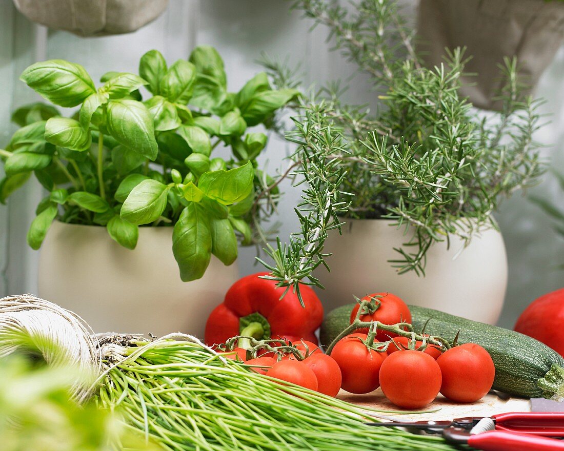 Verschiedene Kräuter und Sommergemüse auf Gartentisch