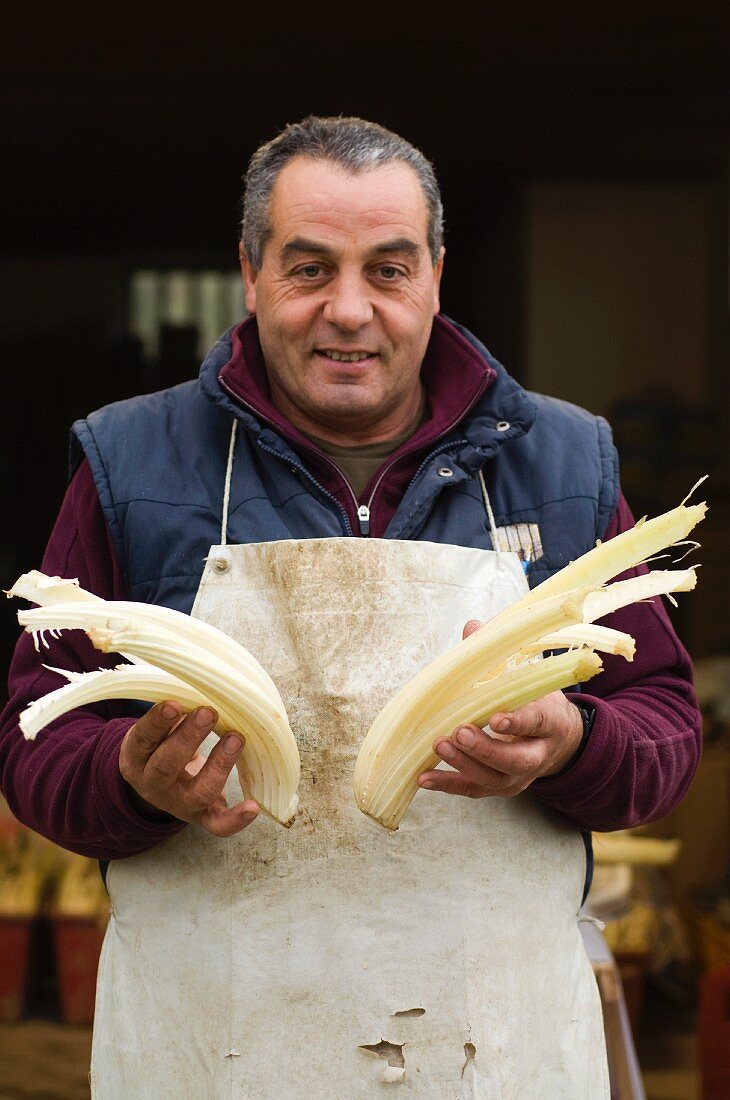 A man holding cardoons (Piedmont)