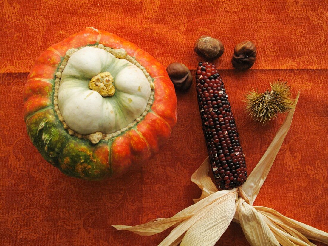 A pumpkin, a corn cob and chestnuts