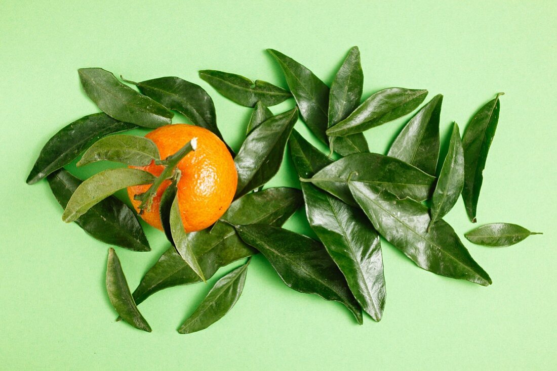 Mandarine mit Blättern