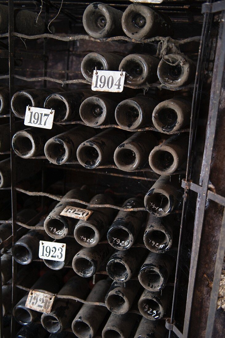 Jahrgangsweine in der Schatzkammer des Château Canon, Saint Emilion