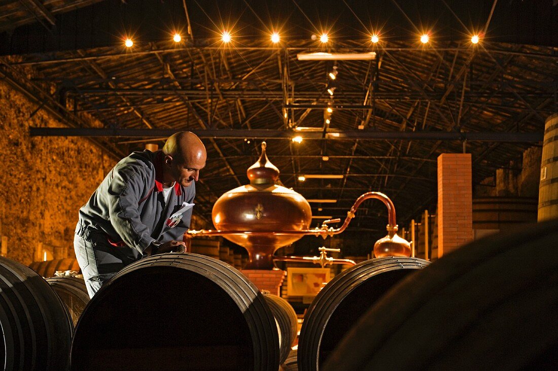 Workers in the Remy Martin cellar in Merpins