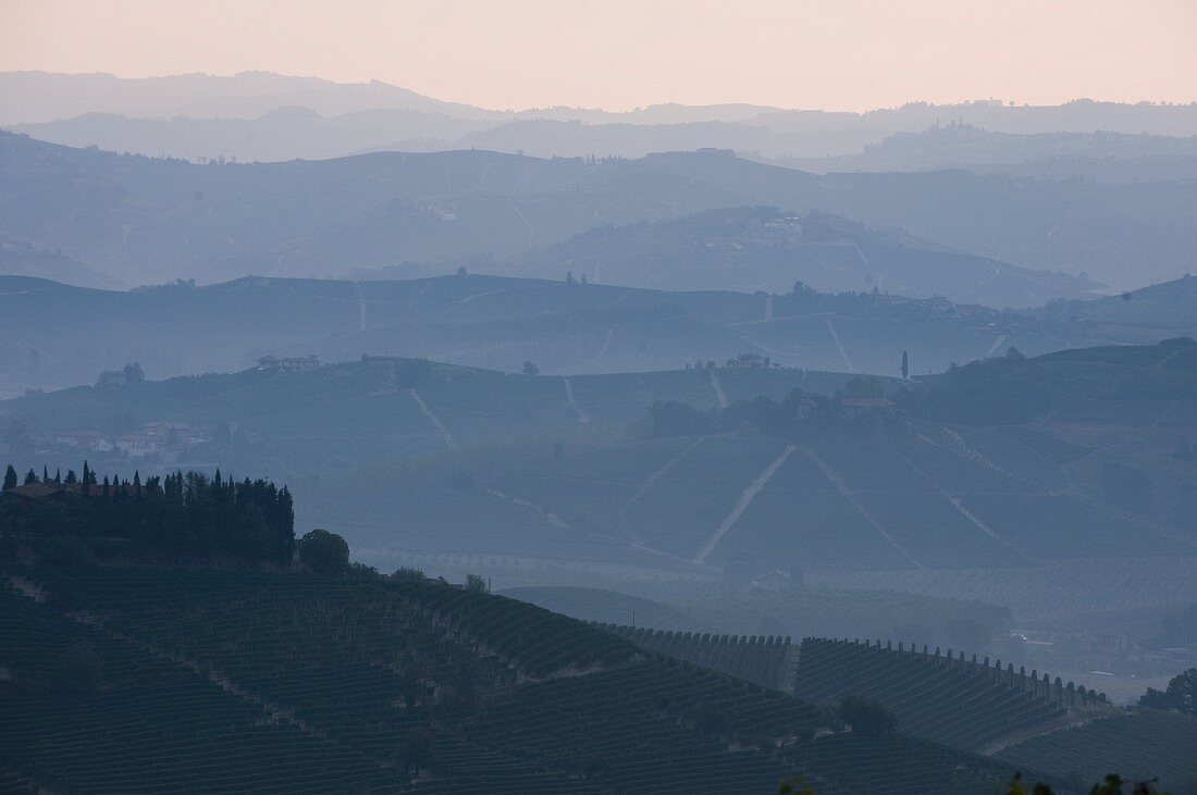 View from La Morra at Castiglione Falletto (Piedmont)