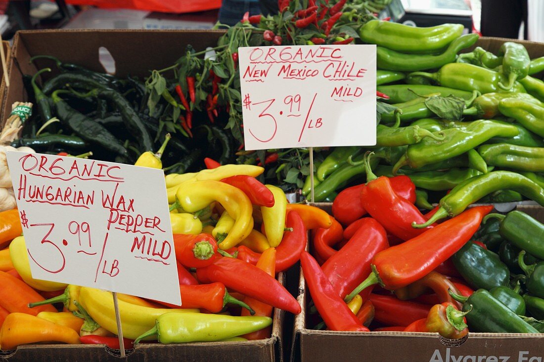 Various chilli peppers at the Pike Place Market, Seattle, USA