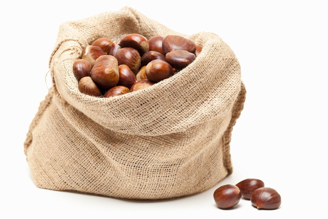 Edible chestnuts in a jute sack