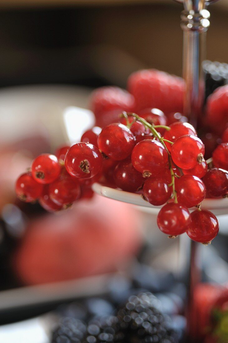 Redcurrants on a cake stand