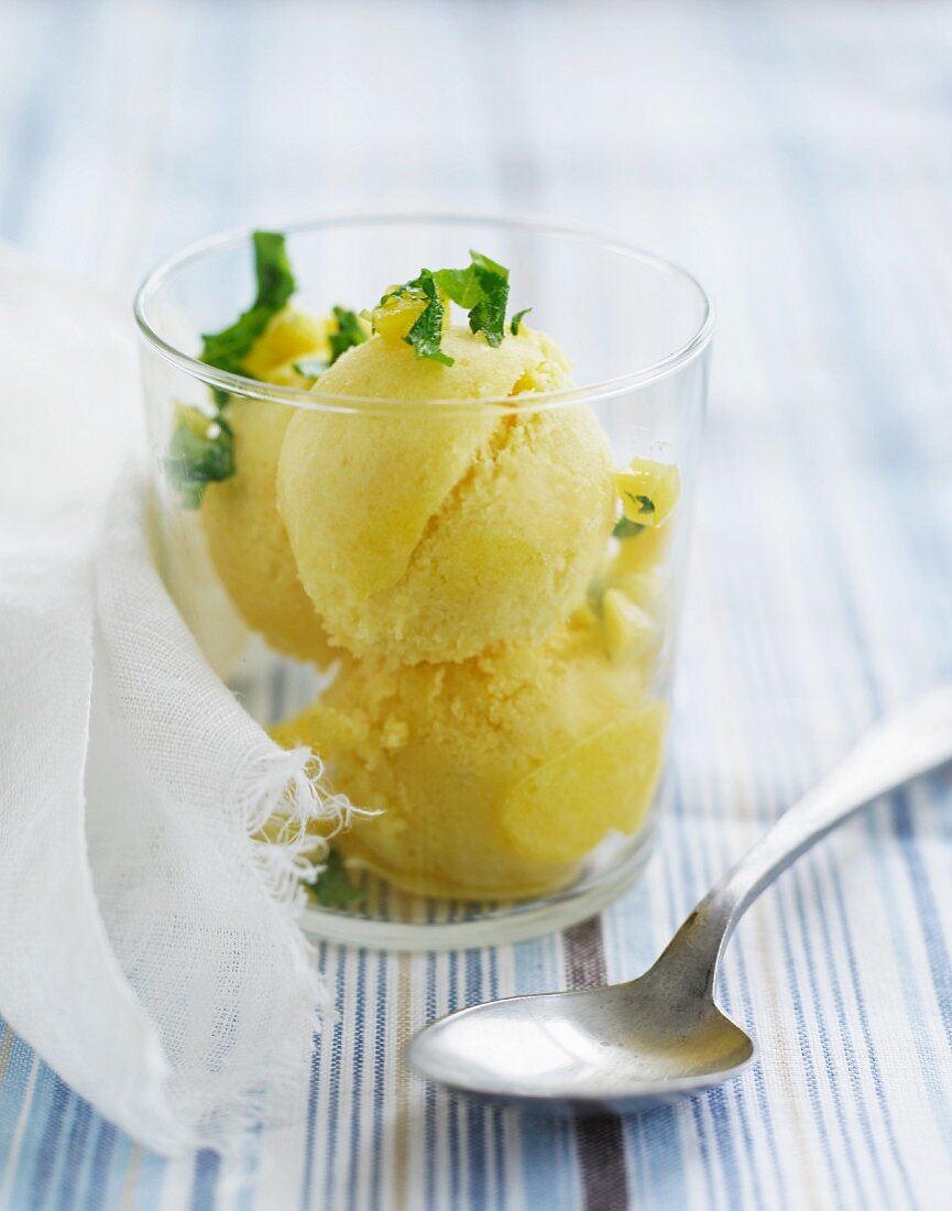 Lemon sorbet with candied fruits and herbs