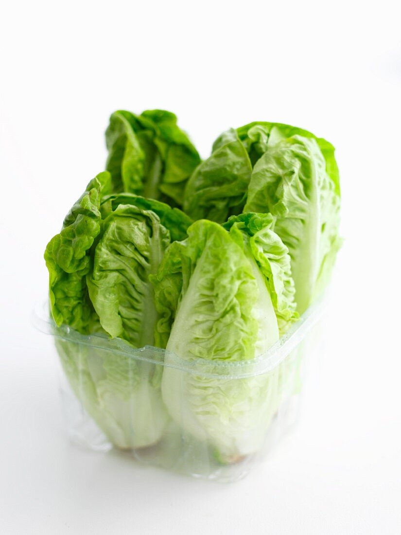 Lettuces in a plastic container