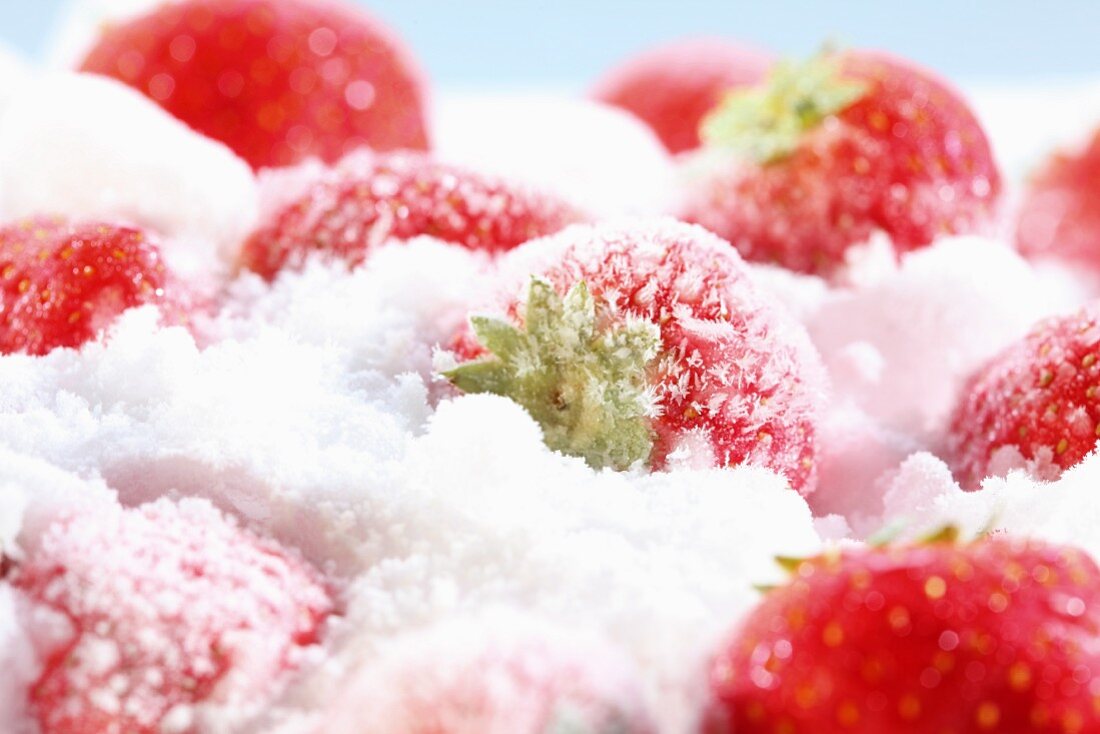 Gefrorene Erdbeeren (Nahaufnahme)