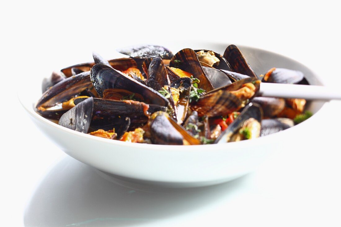 Steamed mussels