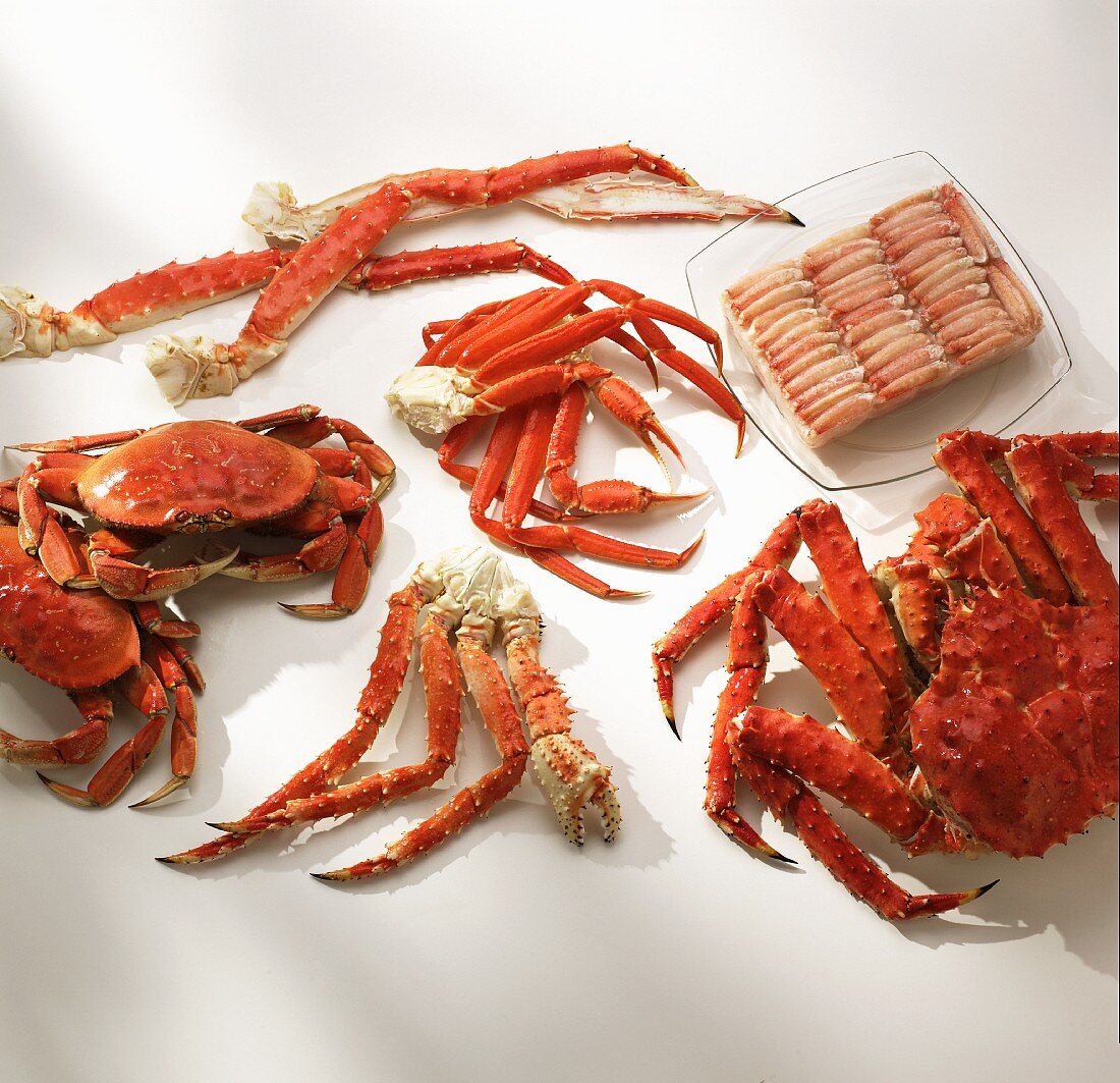 Variety of Crab