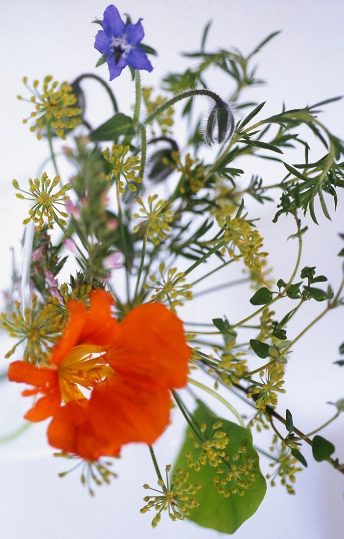 Assorted edible flowers