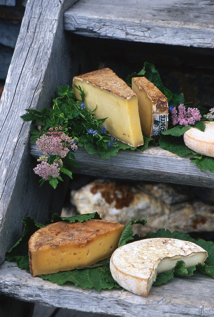 Various types of cheese on wooden steps