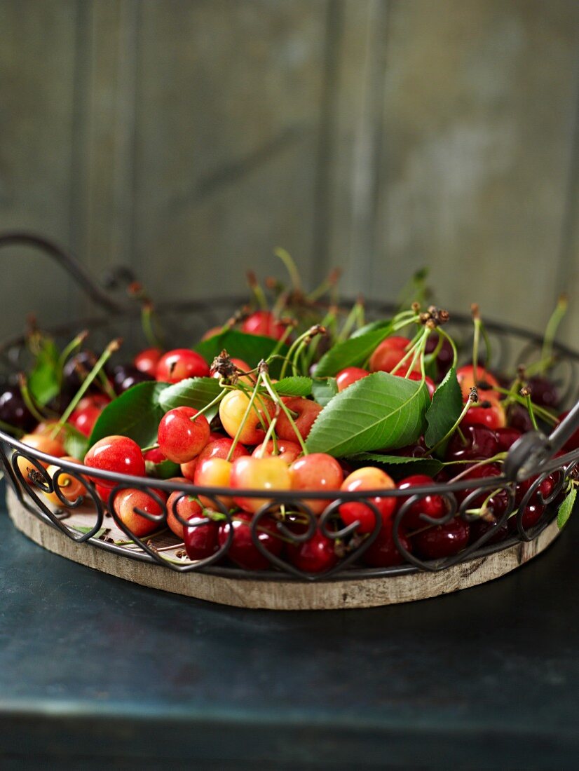 Sweet cherries with leaves in a wire basket